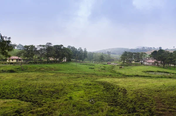 Vue sur la ferme aux vaches — Photo