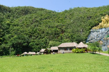 Baktıkları dünya Cafe