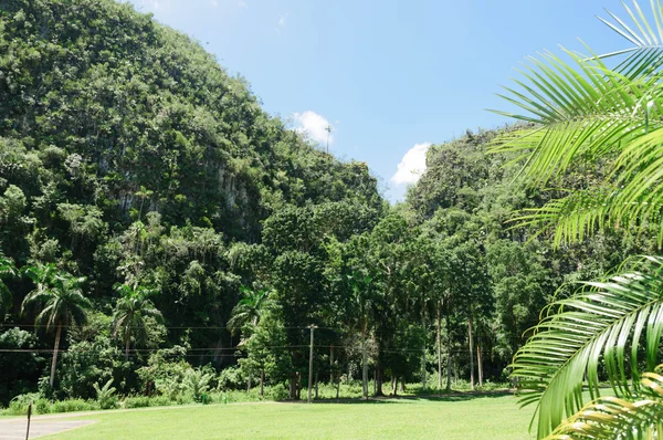 tropikal park