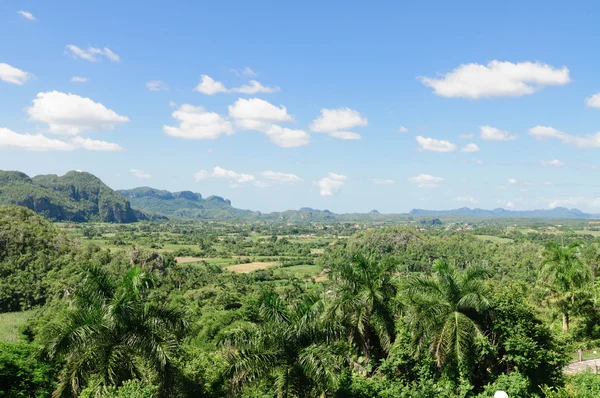 Valle de Viñales — Stockfoto