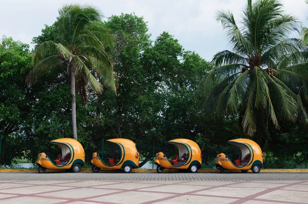 Turistler için Cocotaxis