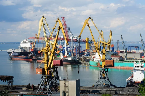 Cranes in harbor — Stock Photo, Image