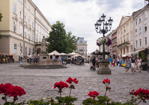 Pazar Meydanı Lviv Ukrayna