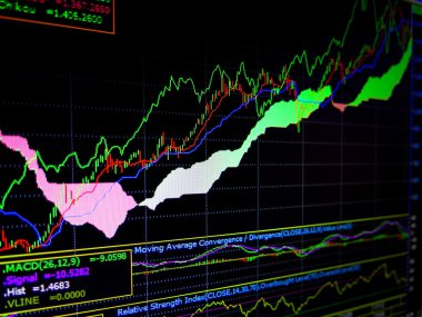 Bir bilgisayarın monitörde finansal kalemlerin grafikler.
