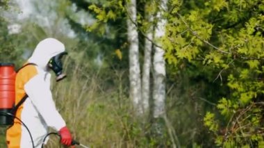 Epidemiyoloji uzmanı bitkilere kene kovucu serpiyor.