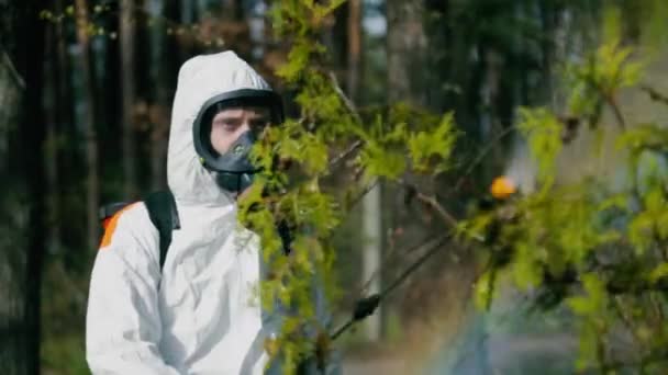 Operatore di disinfezione in tuta bianca spray tick repellente — Video Stock