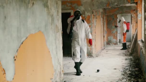 Workers in respirators spray tick repellent in building — Stock Video