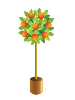 Dekoratif mandalina ağacı vektör