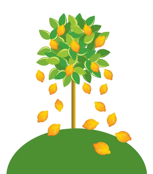 Διάνυσμα δέντρο λεμόνι — Διανυσματικό Αρχείο