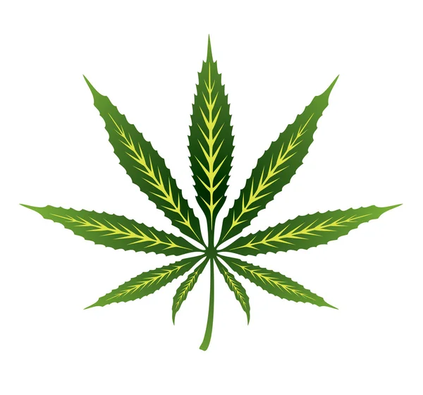 Feuille de cannabis vectorielle — Image vectorielle