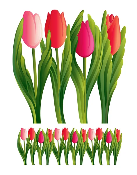Tulipanes Vector — Vector de stock