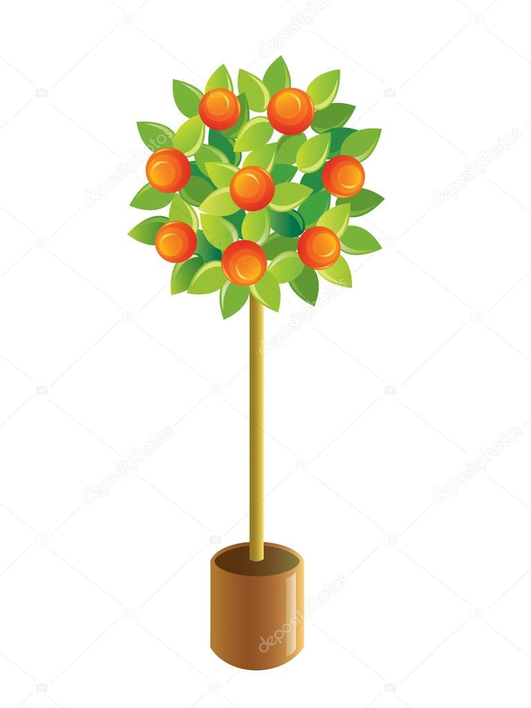 Decorative tangerine-tree vector