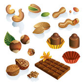 Set of nuts and chocolate sweets vector