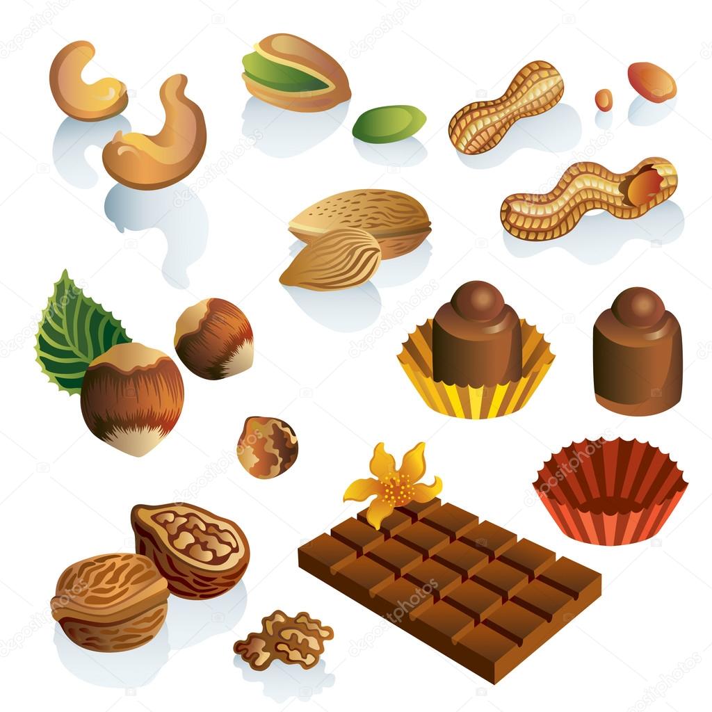 Set of nuts and chocolate sweets vector