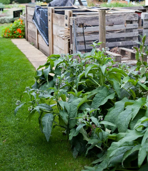 Compost Bin Construir Con Madera Con Tres Secciones Diferentes Para — Foto de Stock