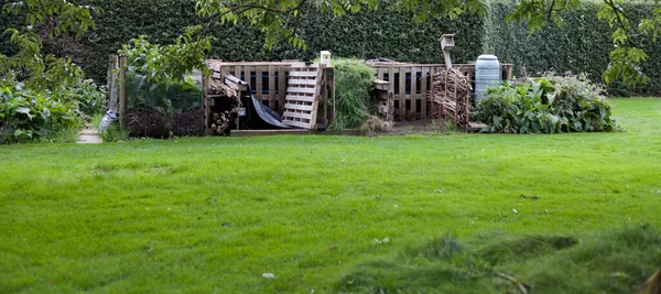 Compost Bin Construir Con Madera Con Diferentes Secciones Plantas Consuelda —  Fotos de Stock