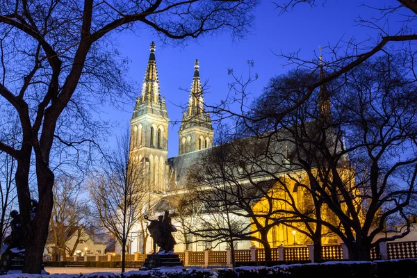 Vista da catedral católica romana à noite — Fotografia de Stock