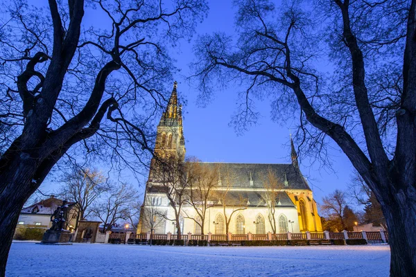 Blick auf die römisch-katholische Kathedrale bei Nacht — Stockfoto