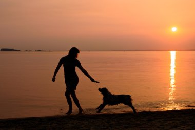 Köpek Sahilde yürüyüş
