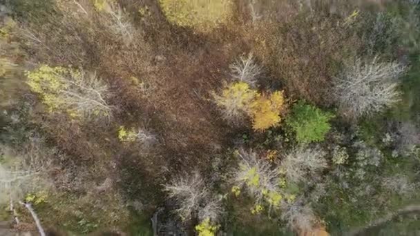 Isola Sabbia Sul Fiume Vista Dall Alto Tiro Con Droni — Video Stock