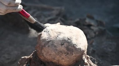 Bir arkeolog arkeolojik kazılar sırasında insan kalıntılarını temizler..