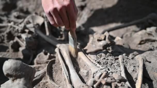 Arqueólogo Barre Polvo Restos Humanos Durante Las Excavaciones Arqueológicas — Vídeo de stock