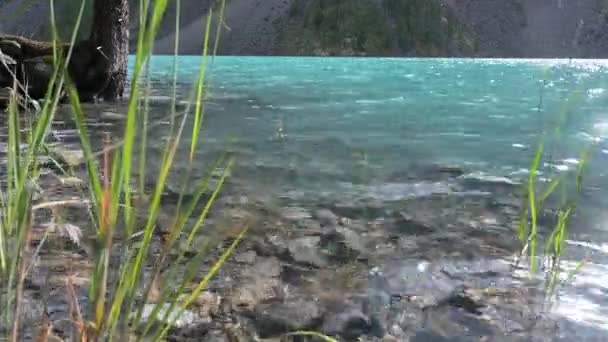 Amenity Högar Vikta Turister Stranden Sjön Shavlinskoye — Stockvideo