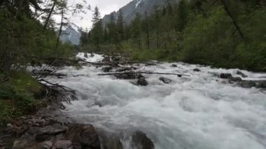 Hızlı dağ nehri taşların arasından akar.