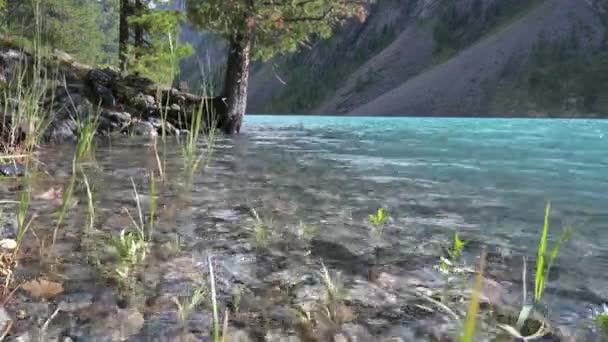 Блакитна Вода Гірського Озера Вітер Розганяє Хвилі Поверхні Гірського Озера — стокове відео