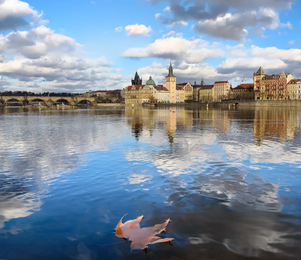 Blätter auf dem Wasser — Stockfoto