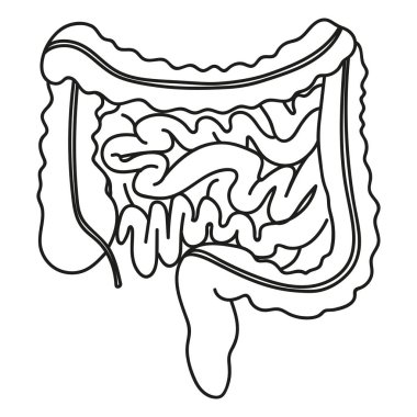Kalın ve ince bağırsaklar karalama tarzı organlarla insan.