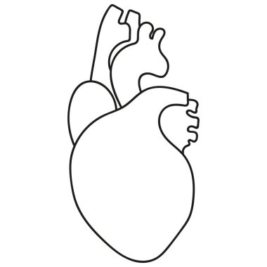 Karalama stili insan organı.