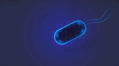 Flagellum bilim mikrobiyolojisi mikrobiyolojisi olan parlak bir bakteri.