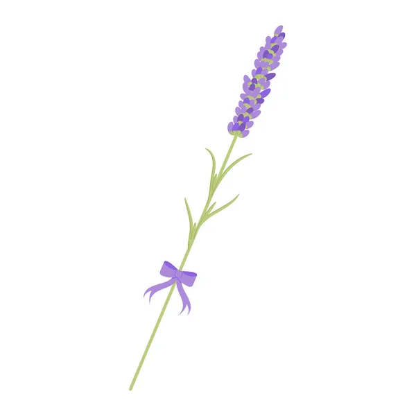Lavendel Tak Voor Ansichtkaart Decoratie — Stockvector