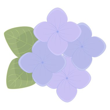 decorative element purple hydrangea flower