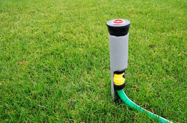 Home-made lawn watering system in the off state. Plastic tube, sprayer and hose close-up. Green grass background.