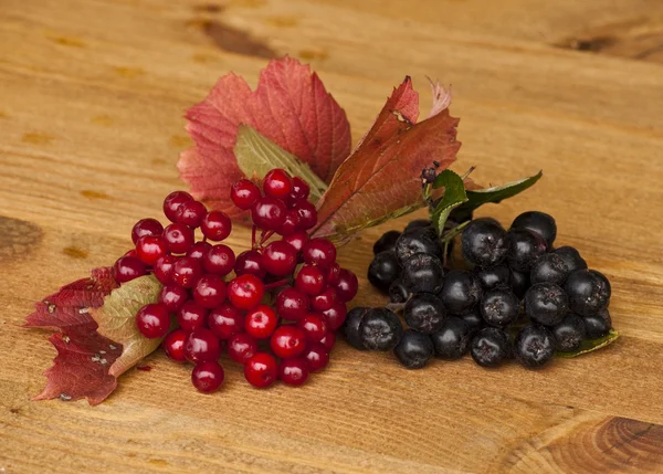 Caviar vermelho e preto — Fotografia de Stock