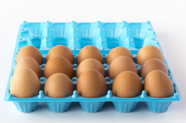 Tavuk yumurta bir açılan kutusunda kahverengi