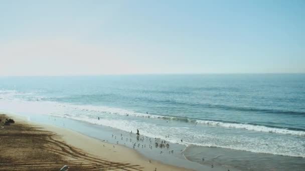 Pêcheur mâle nourrit les goélands avec le reste du poisson, vue de belles vagues de mer sans couture se brisant sur le littoral sablonneux, l'eau de l'océan bleu profond et les vagues mousseuses du Maroc, au ralenti, 4k — Video