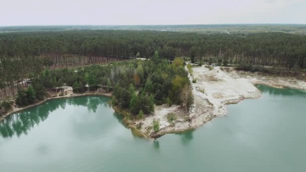 緑の森や湖の海岸、砂のビーチの空中ビュー。緑の森、松の木の森と湖の夏の自然景観。ウクライナの自然、美しい湖と緑の森の上の空中 — ストック動画