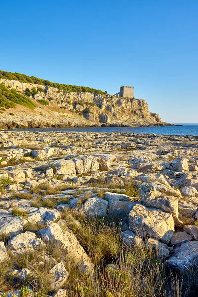 Torre Dell Alto Parque Regional Porto Selvaggio Apulia Atardecer Italia — Foto de Stock