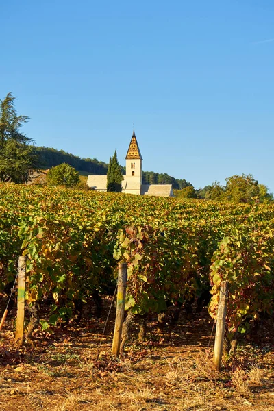 Typische Kirche Und Weinberg Von Burgund Bei Fixin Burgund Frankreich — Stockfoto