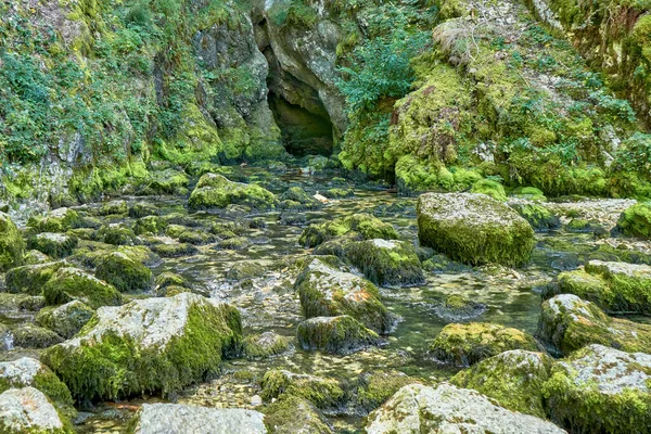 Источник Doubs Mouthe Franche Comte France Зелеными Растениями Солнечный День — стоковое фото