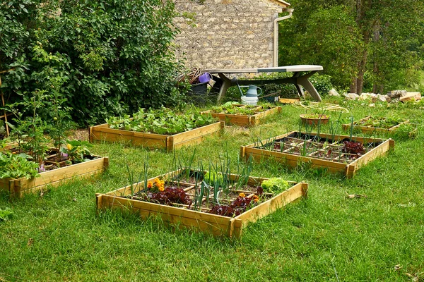 Organic Garden Medieval Village Sunny Day Cabiac Occitanie France — 스톡 사진