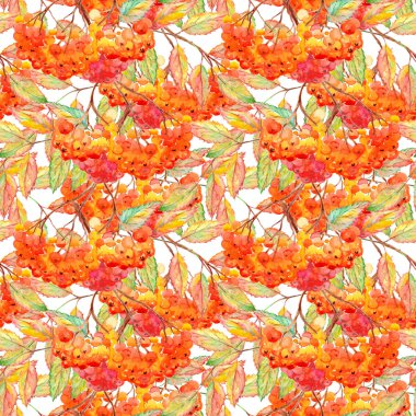 Suluboya rowan ashberry yaprak şube seamless modeli