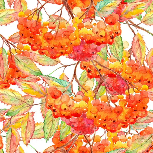수채화로 완 ashberry 잎 지점 원활한 패턴 — 스톡 사진