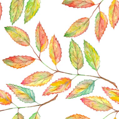 Watercolor rowan ashberry leaf branch botanical seamless pattern