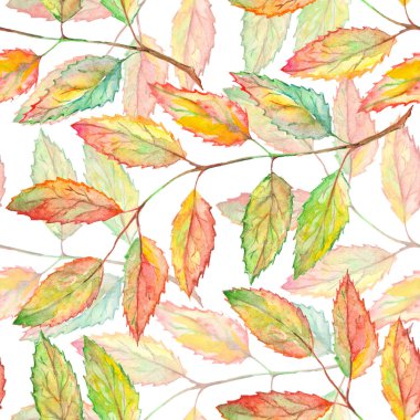 Watercolor rowan ashberry leaf branch botanical seamless pattern
