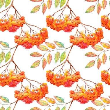 Suluboya rowan ashberry yaprak şube seamless modeli
