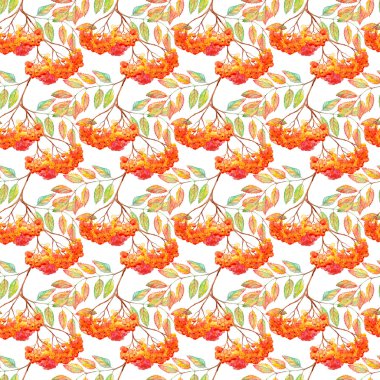 Suluboya rowan ashberry yaprak şube seamless modeli